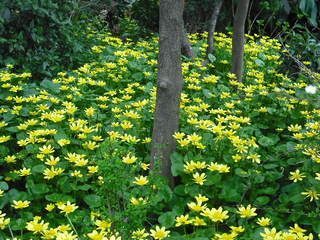 DSCF0136.jpg
