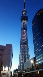 DSC_0230.JPG